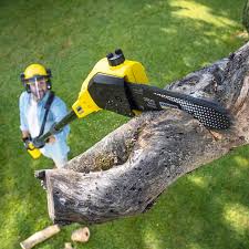 Best Organic Lawn Care Solutions  in Mcclure, PA